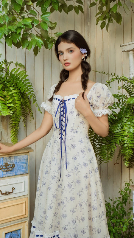 Blue Wisteria Corset Dress