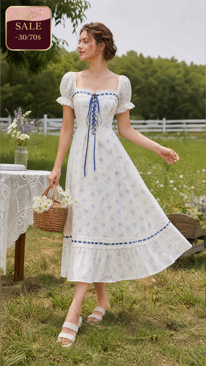 Blue Wisteria Corset Dress