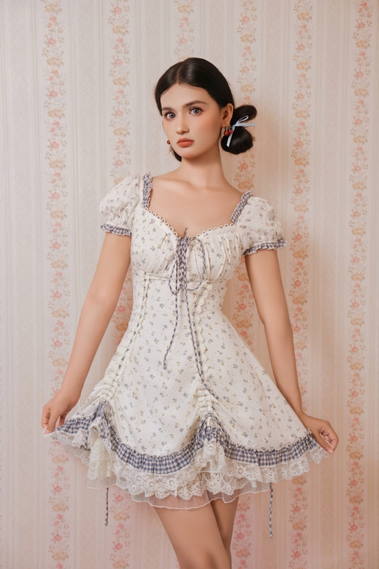 Dream of Alice Corset Dress