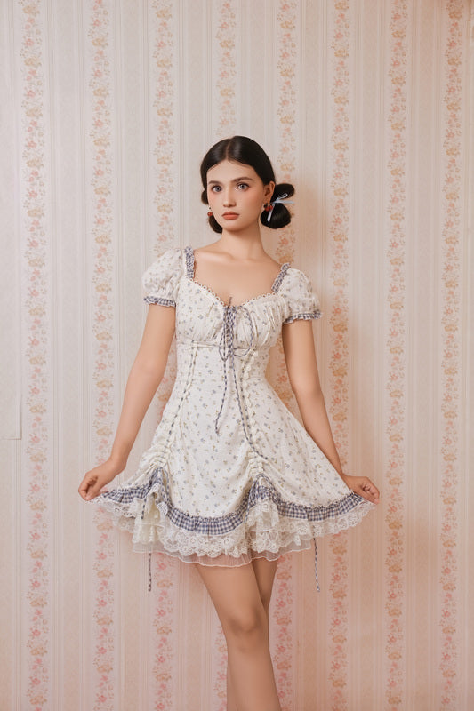 Dream of Alice Corset Dress