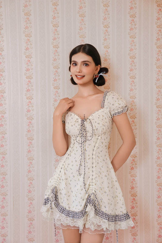 Dream of Alice Corset Dress