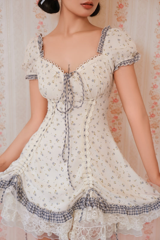 Dream of Alice Corset Dress