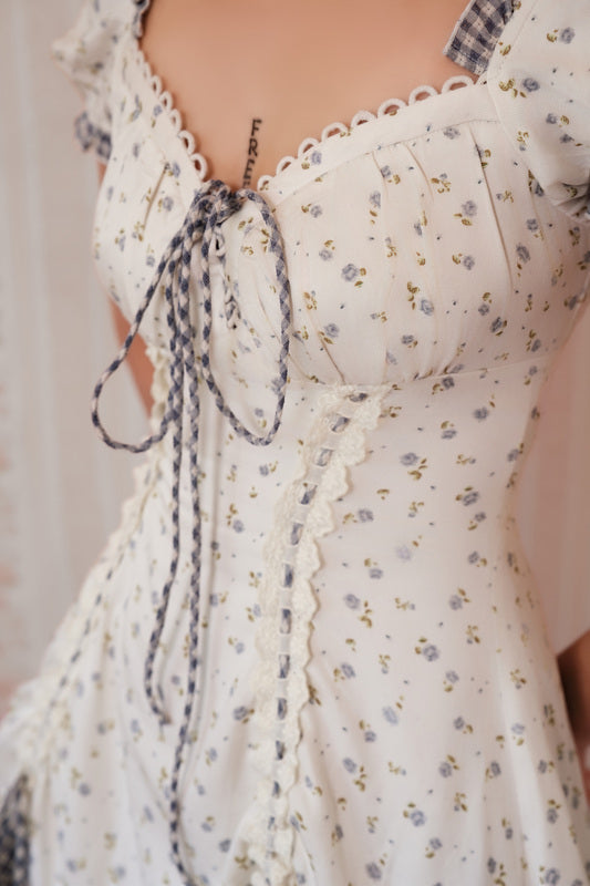 Dream of Alice Corset Dress