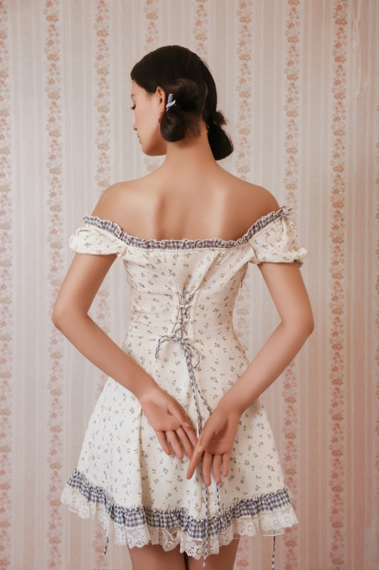 Dream of Alice Corset Dress