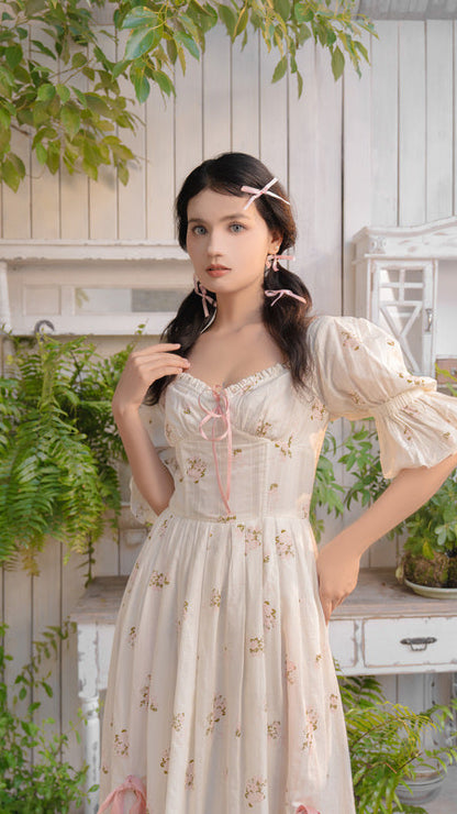 Fairy Rose Corset Dress