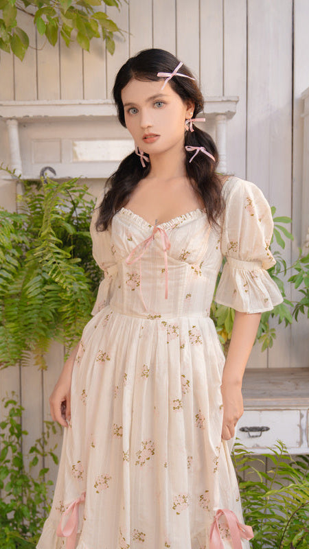 Fairy Rose Corset Dress – luminavenus