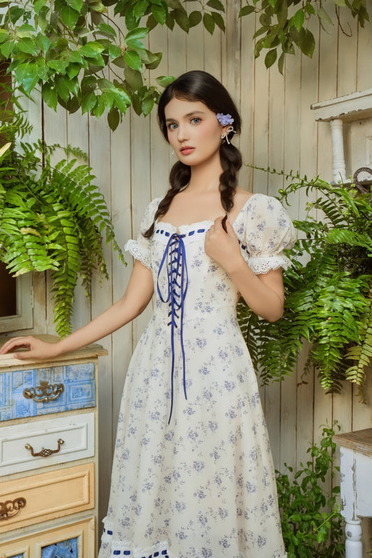 Blue Wisteria Corset Dress