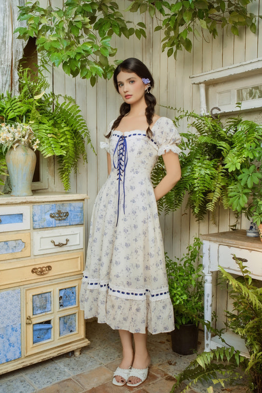 Blue Wisteria Corset Dress