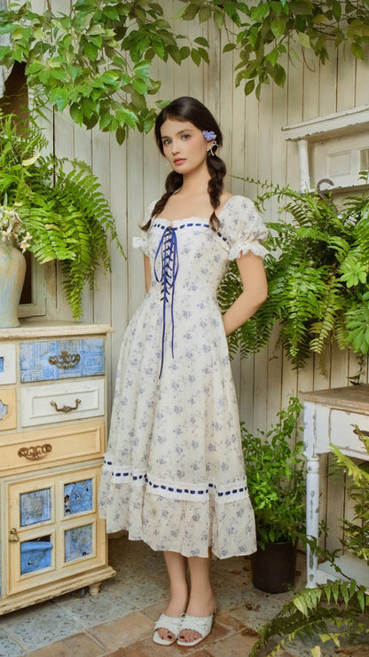 Blue Wisteria Corset Dress