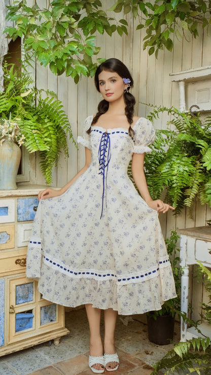 Blue Wisteria Corset Dress