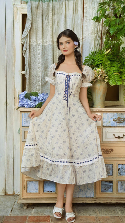 Blue Wisteria Corset Dress