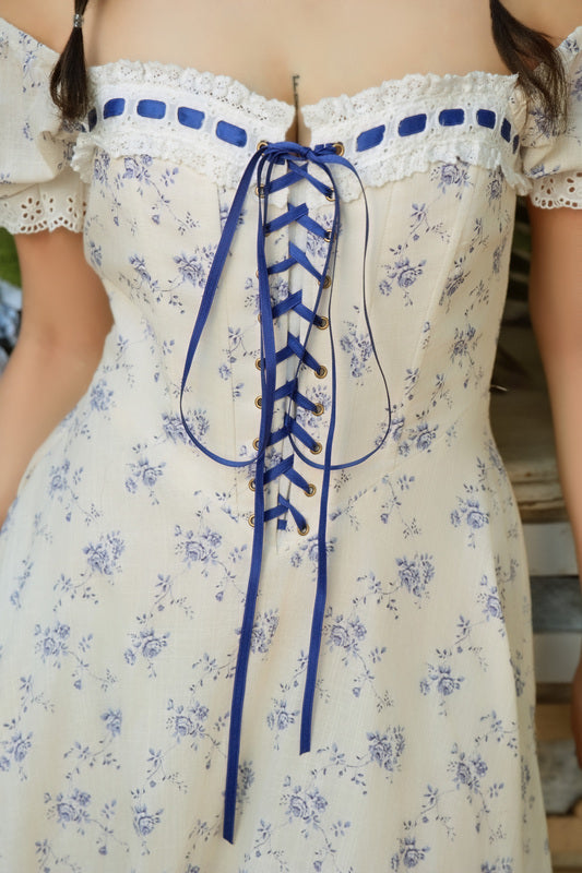 Blue Wisteria Corset Dress