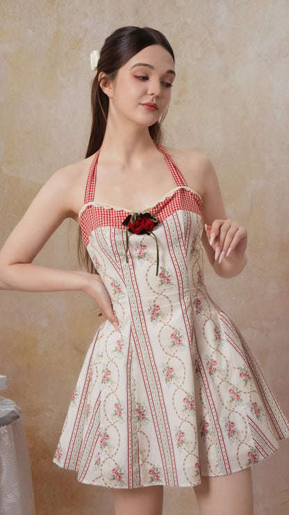 The Venus Rose Corset Dress