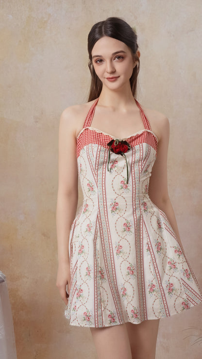 The Venus Rose Corset Dress