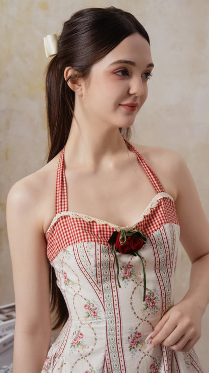 The Venus Rose Corset Dress