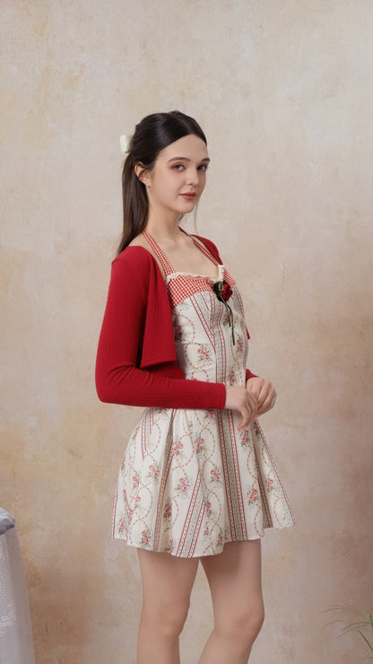 The Venus Rose Corset Dress